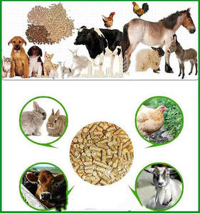 90% getrocknetes Schweine blutmehl plasma protein - Product Image 6