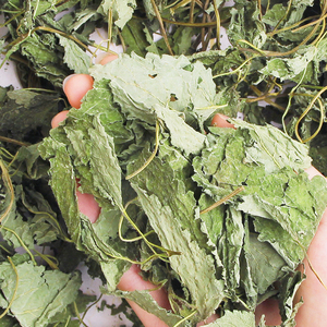 Melissa Officinalis, bálsamo de limón seco, nueva cosecha, hoja verde <span class=keywords><strong>para</strong></span> té de hierbas - Product Image 3