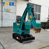 Mini pelle électrique, usinée, 800kg, 1000kg, 1500kg, 1800kg, 2000kg, pour manivelle