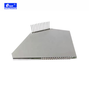 Chất lượng cao tùy chỉnh xe máy đồng hồ tốc độ 29-Pin HTN 4.5V LCD hiển thị - Product Image 5