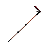 Wholesale Adjustable 3 Section 6061 Aluminum Hiking Pole Floral Pattern Custom Logo for Outdoor Sports Gear Distributor