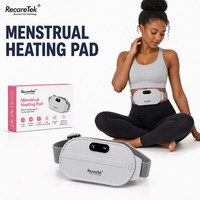 Producto de Tendencia: Almohadilla Térmica para el Cómodo Uso en el Hogar, para el Período Menstrual, Otros Suministros de Salud, Kit de Salud, Terapia para Cintura y Abdomen, Equipo de Confort