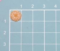 Nieuwe Creatieve 100 Stks/partij Geel Oranje Slice Losse Bedels Realistische Fruit Food Ambachten Voor Nail Art Sieraden Maken Decoratie Diy