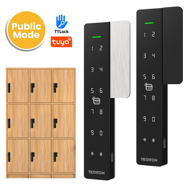 Tediton Electrical Lock for Storage Cabinet Keyless Rfid Card Password APP Control Smart Drawer Locks Cabinet With Handle