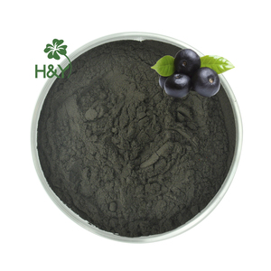 Оптовая продажа, пищевые чистые антоцианы, экстракт черники, порошок антоцианов - Product Image 1