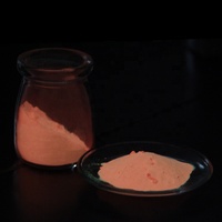 Poudre de pigment photoluminescente rouge en gros, pigment de revêtement, poudre phosphorescente colorée pour peinture/ongles en gel/encre