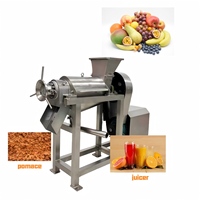 Grande promotion : Extracteur de jus à vis, presse-fruits spirale, machine à pulper les fruits