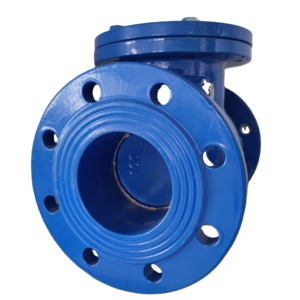 <span class=keywords><strong>Clapet</strong></span> <span class=keywords><strong>anti</strong></span>-<span class=keywords><strong>retour</strong></span> à disque en fonte ductile recouvert d'EPDM pour le traitement des eaux usées et l'irrigation de l'<span class=keywords><strong>eau</strong></span> <span class=keywords><strong>potable</strong></span> - Product Image 6