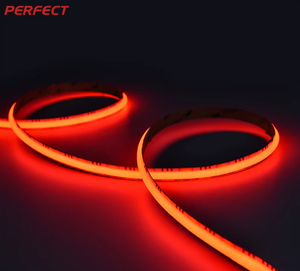 Tira de LED RGB de Formato Ancho de 10 mm, PSB322F-S-RGB, IP20, SMD2835, Matriz de Colores Densa, Wi-Fi/ CRI 90, 6000K, Luz Diurna, DC24V, Regulable - Product Image 1