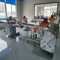 Máquina de Marcado Láser en Línea, Máquina de Grabado Láser para Códigos QR y Fechas