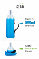 Bouteille d'eau pliable en TPU sans BPA, écologique, 500 ml, pour le sport, la randonnée et les activités de plein air