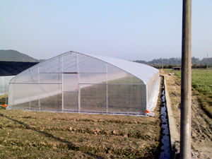 دفيئة بلاستيكية على شكل قوس فعالة من حيث التكلفة لنمو النباتات، دفيئة بسعر المصنع، أفضل جودة، دفيئة رائجة البيع - Product Image 5