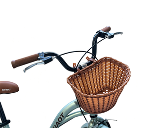 GIAOT Vintage Girls Kids With Rattan <b>Basket</b> <b>Rear</b> Rack Training Wheels Source Factory OEM Custom 5675 5675 - Product Image 3
