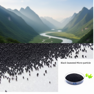 Fertilizante Orgánico en Polvo de Extracto de Algas Marinas Hidrolizadas con Bioenzimas y Ácido Húmico de Liberación Rápida para Todos los Cultivos - Riego por Goteo - Product Image 6