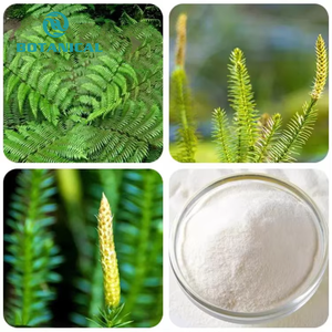 B.C.I供給天然フペルジアSerrataエキス1% -99% フペルジン粉末 - Product Image 4