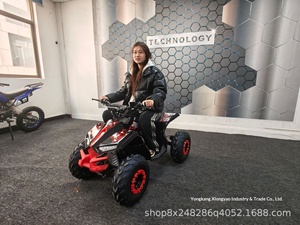 <span class=keywords><strong>Mini</strong></span> <span class=keywords><strong>moto</strong></span> tout-terrain XYPS 110cc 2 temps Little Falcon - Product Image 5