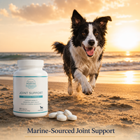 Complément Articulaire pour Chien : Comprimés de Cartilage de Requin, Glucosamine, Chondroïtine, MSM, Source Marine, 500mg, 100 Comprimés, ODM Quotidien