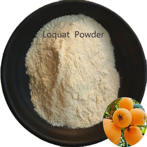 Grosir bubuk buah Loquat eribotra kualitas tinggi Harga Terbaik bubuk jus Loquat instan bubuk - Product Image 1