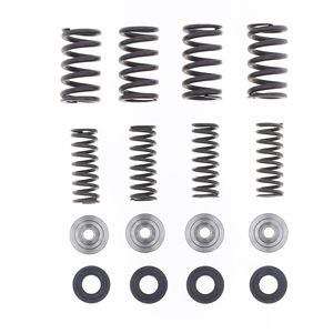 Athena Factory Valve Spring <b>Kit</b> <b>Model</b> P400250202001 Italy - Product Image 2
