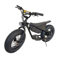 Vélo électrique Fat Tire de 16 pouces pour enfants