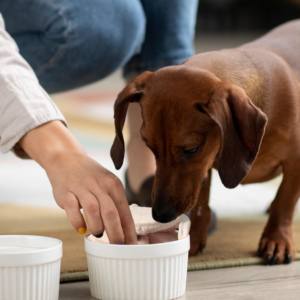 Pollo y aperitivos <span class=keywords><strong>para</strong></span> mascotas, fabricante OEM ODM, pollo freezado y seco, hipoalergénico bajo, entrenamiento de tratamiento <span class=keywords><strong>para</strong></span> <span class=keywords><strong>perros</strong></span> - Product Image 3