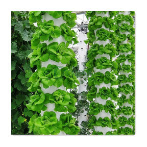 Tour de jardinage hydroponique vertical avec éclairage LED, rouleau de tuyau PVC hydroponique, <span class=keywords><strong>engrais</strong></span> pour graines de laitue, culture verticale - Product Image 1