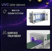 Maßgefertigtes UV-LED 254nm 255nm 265nm UV-LED-Modul UV-Lampe für Wassersterilisator Trinkwasser-Desinfektionslampe