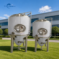 Équipement de brassage de bière artisanale Tonsen, cuve de fermentation en acier inoxydable 304 avec garantie de 5 ans