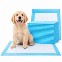 Tapis d'apprentissage jetables pour chiots bleus, absorption rapide, anti-fuite, surface non-tissée, fourniture directe usine, OEM en gros
