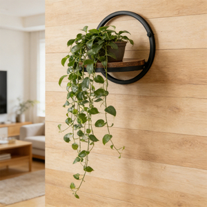 Étagère murale ronde pliable en métal et bois pour plantes suspendues, support mural pour plantes pour salon et décoration intérieure - Product Image 2