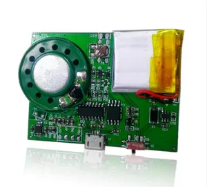 Werkseitig Licht aktivierter Sensor MP3 Record able PCB Sound Module USB Herunter ladbarer Musik chip für Grußkarten