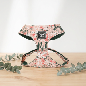Premium Comfortable Cotton <b>Dog</b> Harness Cotton Cat Harness Elegant Personalized Cute Style Buckle Closure for Large <b>Dogs</b> OEM ODM - Product Image 1