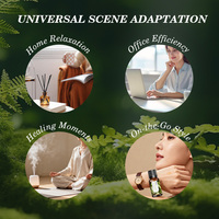 Ensemble Cadeau d'Huiles Essentielles Ingrédients Naturels Quotidien Douze Aromathérapie Ensemble d'Huiles Essentielles pour Massage du Corps