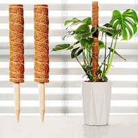 Poteaux de soutien écologiques en coco pour plantes grimpantes, idéaux pour l'intérieur et le jardin, en gros