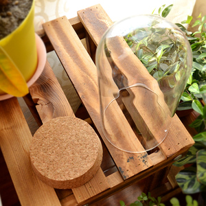 Caja de acrílico elegante hecha a mano/cúpula de cristal Real <span class=keywords><strong>Fresh</strong></span> <span class=keywords><strong>Eternity</strong></span> Immortal Rose flor preservada para la graduación de Navidad de San Valentín - Product Image 1