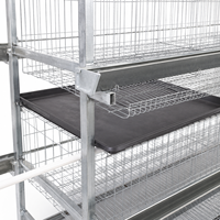 Planification d'une ferme avicole de 10 000 oiseaux : Obtenez une cage à poulets de type H avec un aménagement complet et un prix d'usine