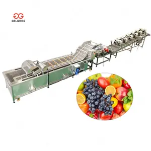 Best Peanut Cleaning Machine Washing Fresh Root and Stem Vegetable Bubble Washer for Restaurant