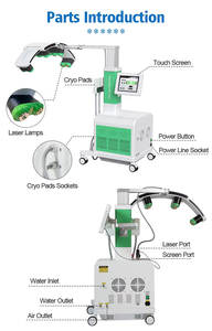 Machine de Clinique Amincissante Professionnelle Laser Froid 10D <span class=keywords><strong>Vert</strong></span> Émeraude 532nm et 635nm <span class=keywords><strong>pour</strong></span> la Perte de Poids et le Remodelage Corporel (Max Lipo Master) - Product Image 6