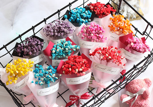 Mini Bouquet de fleurs séchées, 50 pièces, fournitures d'usine, Bouquet de fleurs séchées, pour photo en décor, SZ04165 - Product Image 5