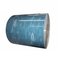 Bobine d'acier laminé à froid prélaqué DX51D PPGI PPGL, revêtement couleur Z30-Z40, dureté élevée, épaisseur 0,12-1,2 mm pour panneaux de toiture