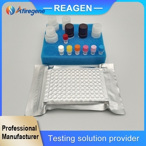 ホットセール オクラトキシンA ELISA検査キット 穀物飼料検査用 工場価格 - Product Image 6