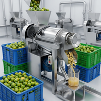 Calamansi-sapcentrifuge van roestvrij staal, koude pers, commerciële sapcentrifuge voor fruit, groenten, gember, verse sapbereiding
