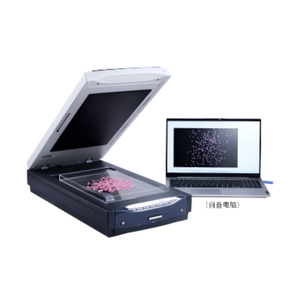 Analisador de Precisão para Processamento de Amostras de Arroz, Medidor de Detecção de Precisão para Processamento de Arroz, Detector Automático de Precisão para Processamento de Arroz - Product Image 4