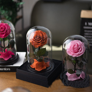 Rosa Preservada del <span class=keywords><strong>Principito</strong></span> en Caja de Cristal de 14*22CM, Regalo de Cumpleaños con Caja de Regalo Exquisita - Product Image 4