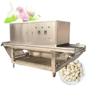 Endüstriyel 1000-1500 kg/saat soğan cilt soyma makine soğan soyucu soğan soyma Skinner makinesi
