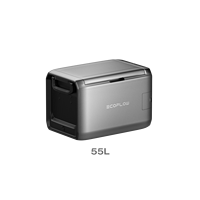 Réfrigérateur de voiture classique Ecoflow 45/55L double zone température contrôlée accessoires de studio photo réfrigérateur portable