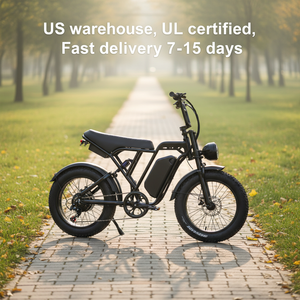 Factory Direct OEM ODM Accepted the Electric Mountain Bike with Hydraulic Disc Brakes and Rear Suspension Fat Tire Electric Bike - Product Image 3