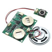 Module de son enregistrable Puce sonore programmable pour carte de voeux Carte vocale de charge USB pour jouets Cadeaux créatifs
