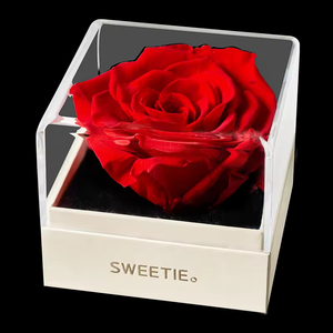 Venta al por mayor belleza grande única flor de Rosa conservada eterna en caja de acrílico transparente logotipo personalizado para evento de negocios conjunto de regalo de fiesta - Product Image 6
