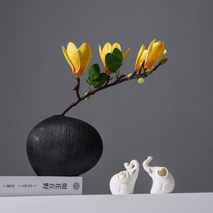 Jarrón de Cerámica de Alta Calidad con Función Hidropónica para Mesa de TV, Exhibición de Flores Secas, Decoración del Hogar - Product Image 4